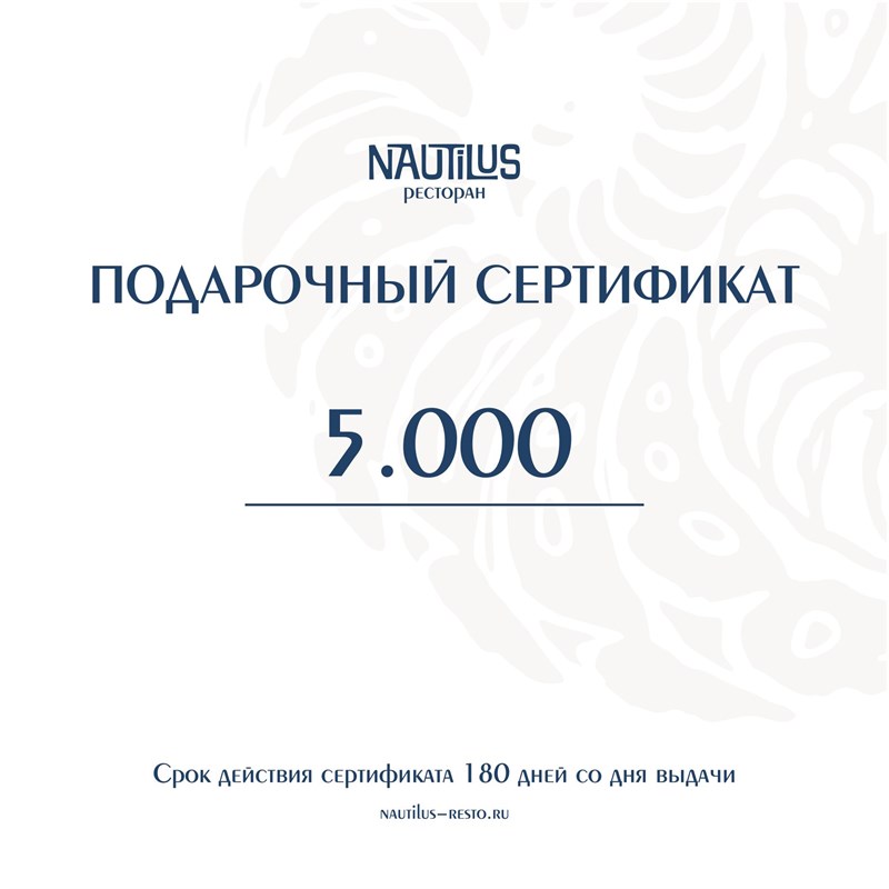 СЕРТИФИКАТ 5000 1004119 - фото 5045