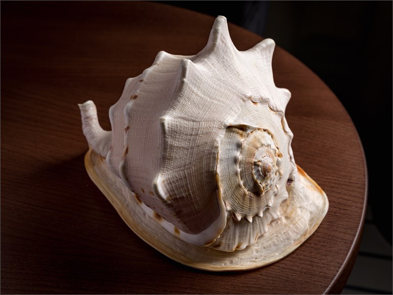 ТАРТ С ХУРМОЙ 1002707