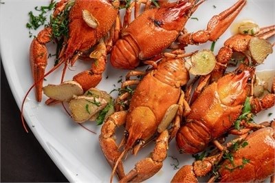 РАКИ 50/70 0,5 кг 1003603