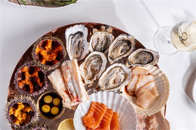 ПЛАТО КАПИТАН НЕМО 1004068