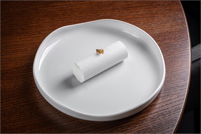 Анна павлова от Шефа 00726